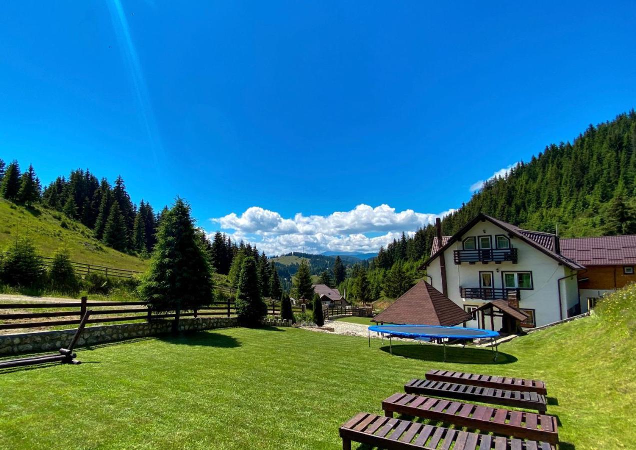 Pensiunea Poienita Ursului Fundata Exterior foto
